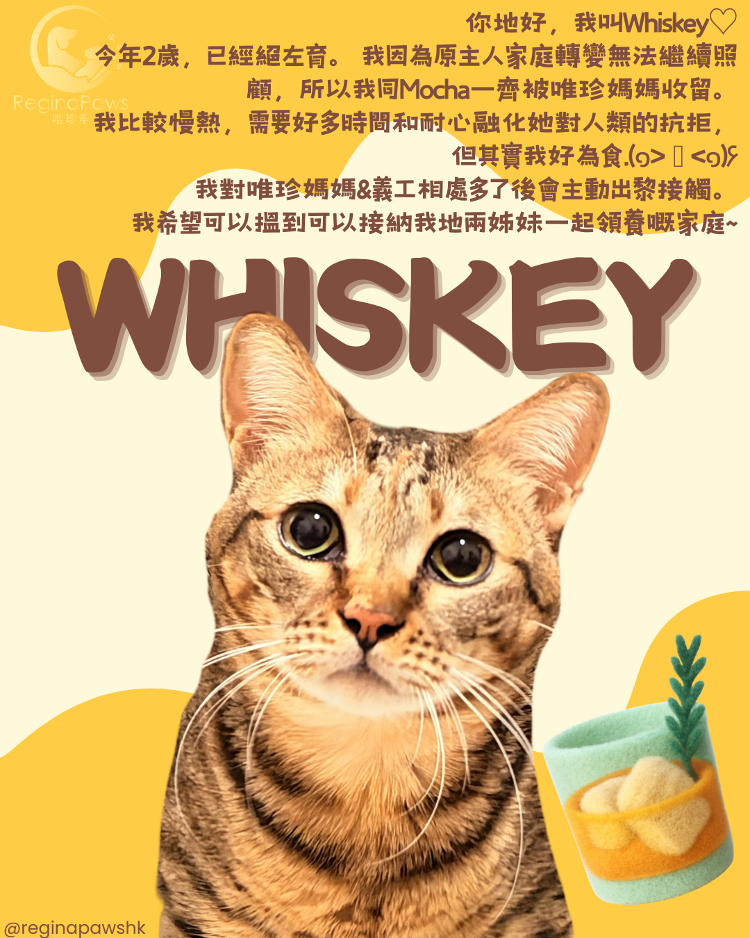 Whiskey